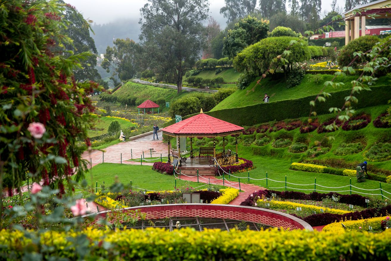 Ooty Rose Garden