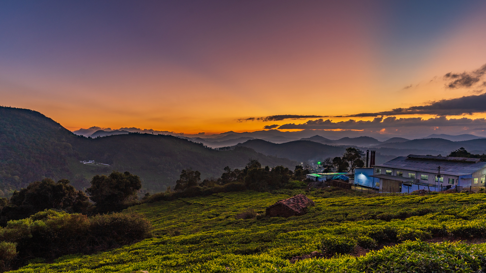 Ooty Sightseeing